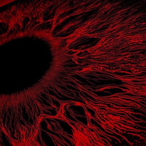 有黄有粗美女视频
